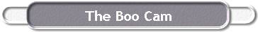  The Boo Cam 